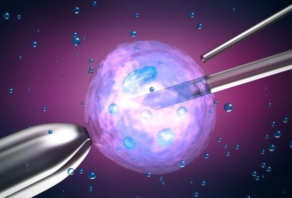 Embryo-Testing-