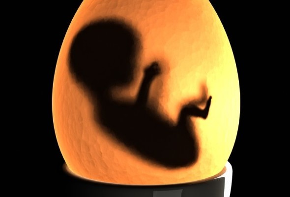 Single-Embryo-Transfer-