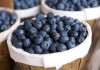 antioxidants (blueberries) 1816734
