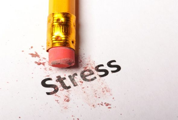 Stress - 3540940resize